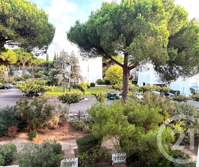 Appartement Studio Cabine à louer - 1 pièce - 24.15 m2 - LA GRANDE MOTTE - 34 - LANGUEDOC-ROUSSILLON - Century 21 Rouvière Immobilier